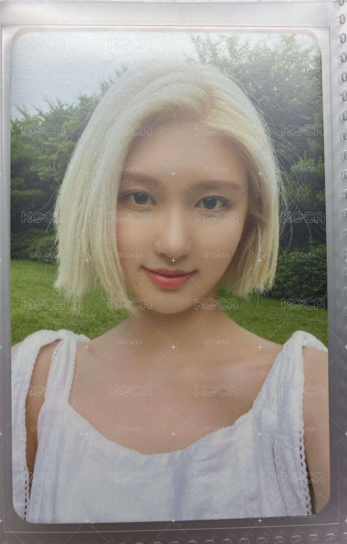 秋卡