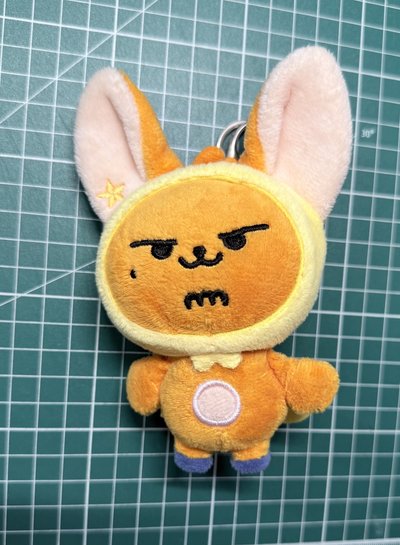 TXT 原皮黃春（本體2000）