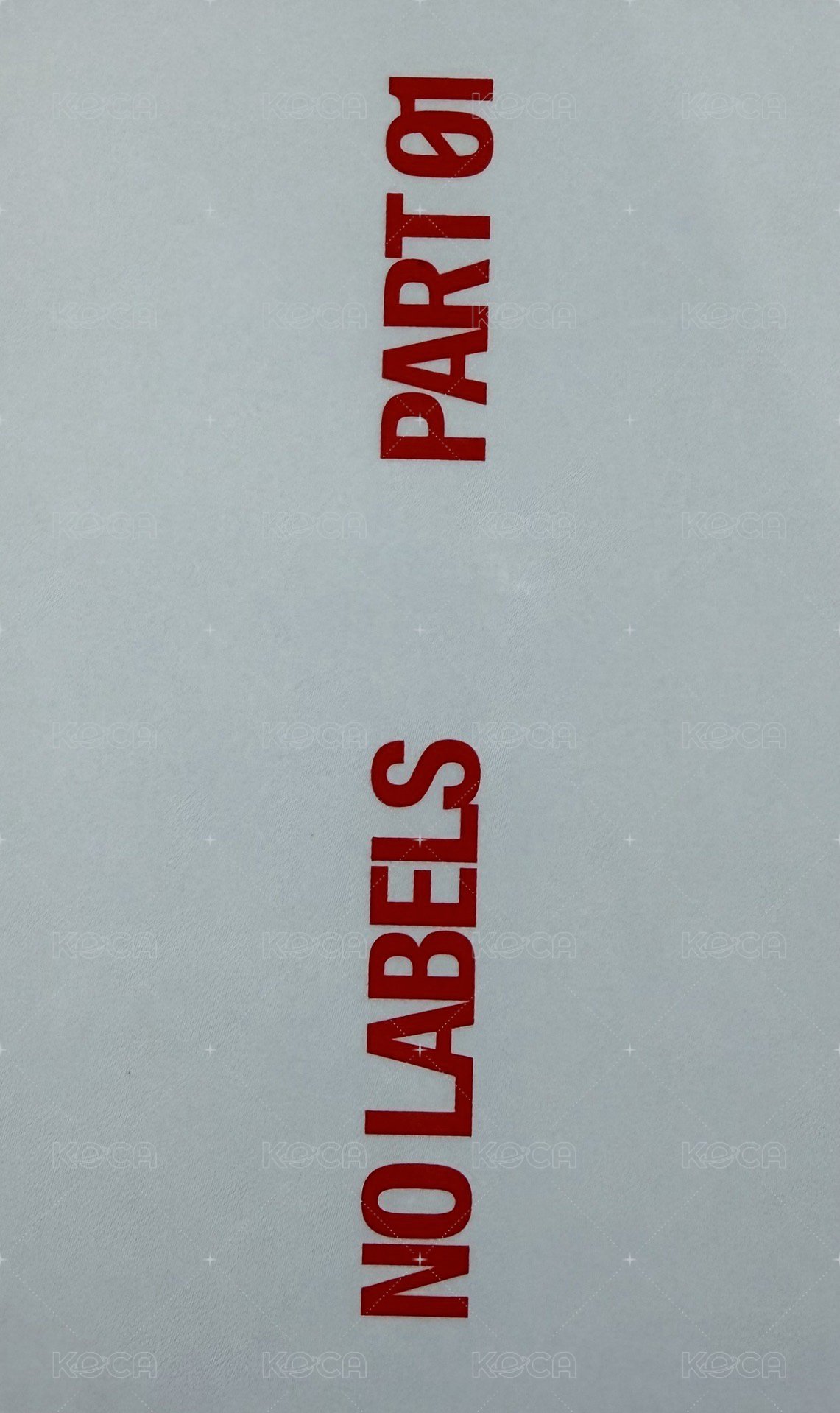 NO LABELS 電子專 專輯卡  背面