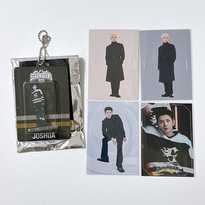 Seventeen Home 小吊飾 洪知秀