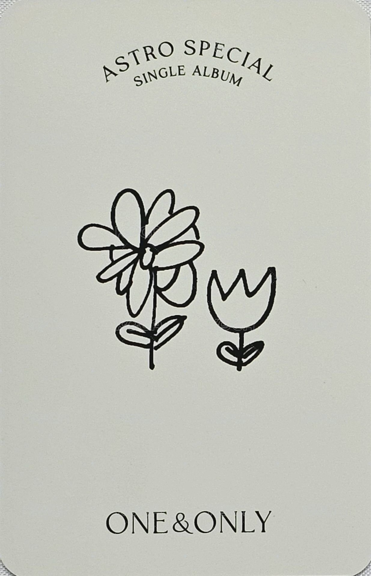 飯頌 專輯卡  背面