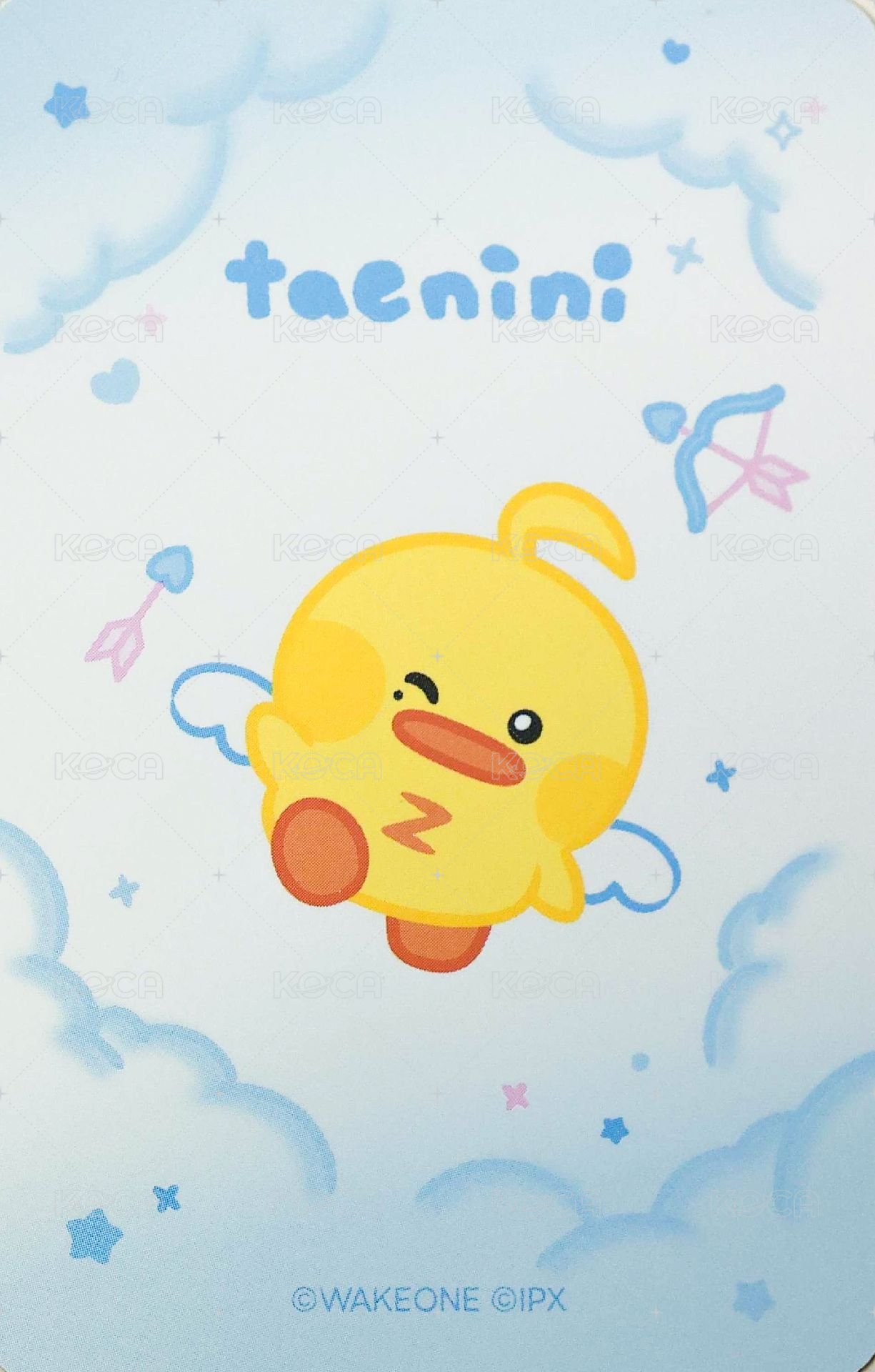 zeroni 天使 滿額卡  背面