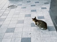 M ♡°ஂ  ◍˙ᗜ˙◍