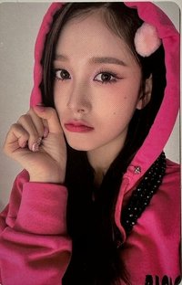 Teddy Bear 專輯卡 