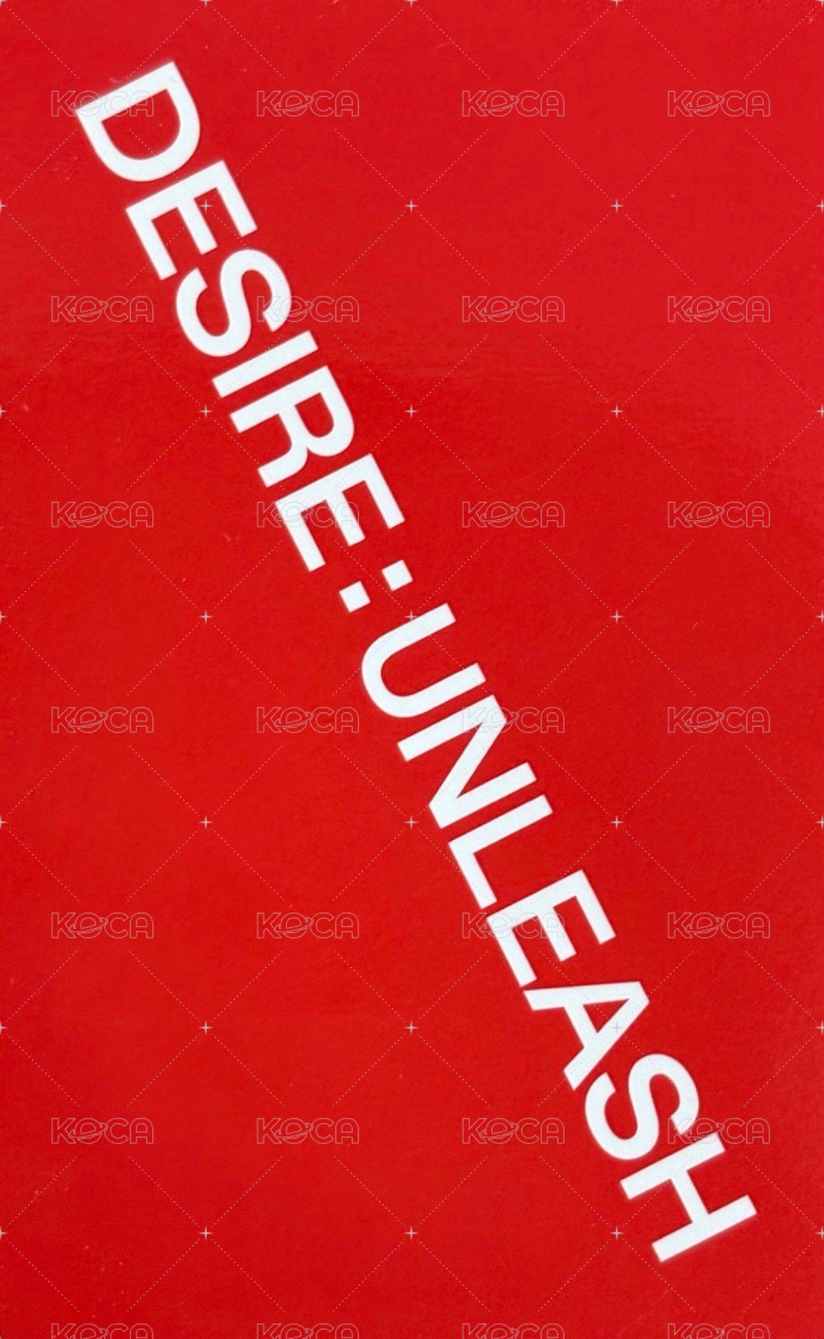 迷六 泡澡球 專輯卡  背面