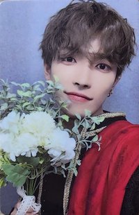 Will walmart 特典卡 Flower ver.
