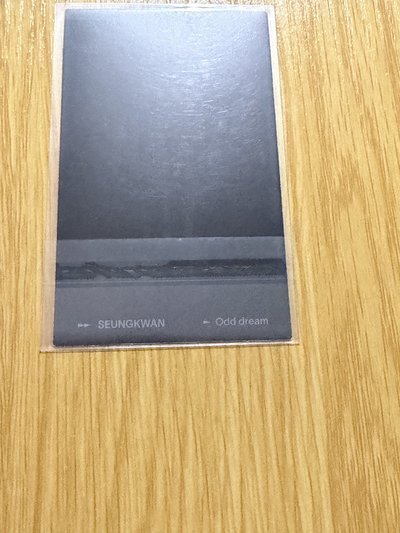 THE NAME 雜誌卡 拍立得 抱熊寛