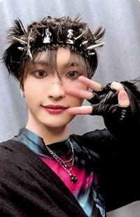Will hello82 EU 特典卡 WHISKERS ver.