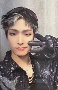 Will hello82 EU 特典卡 WHISKERS ver.