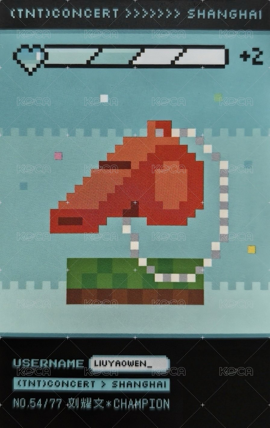 上海冠軍 隨機卡 4單人拍立得卡 背面