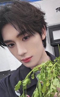 26‘台曆 周邊卡 丁程鑫 普卡