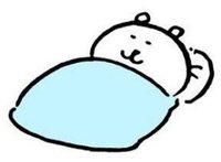 哈呢（1/30～2/1出國無法出貨）