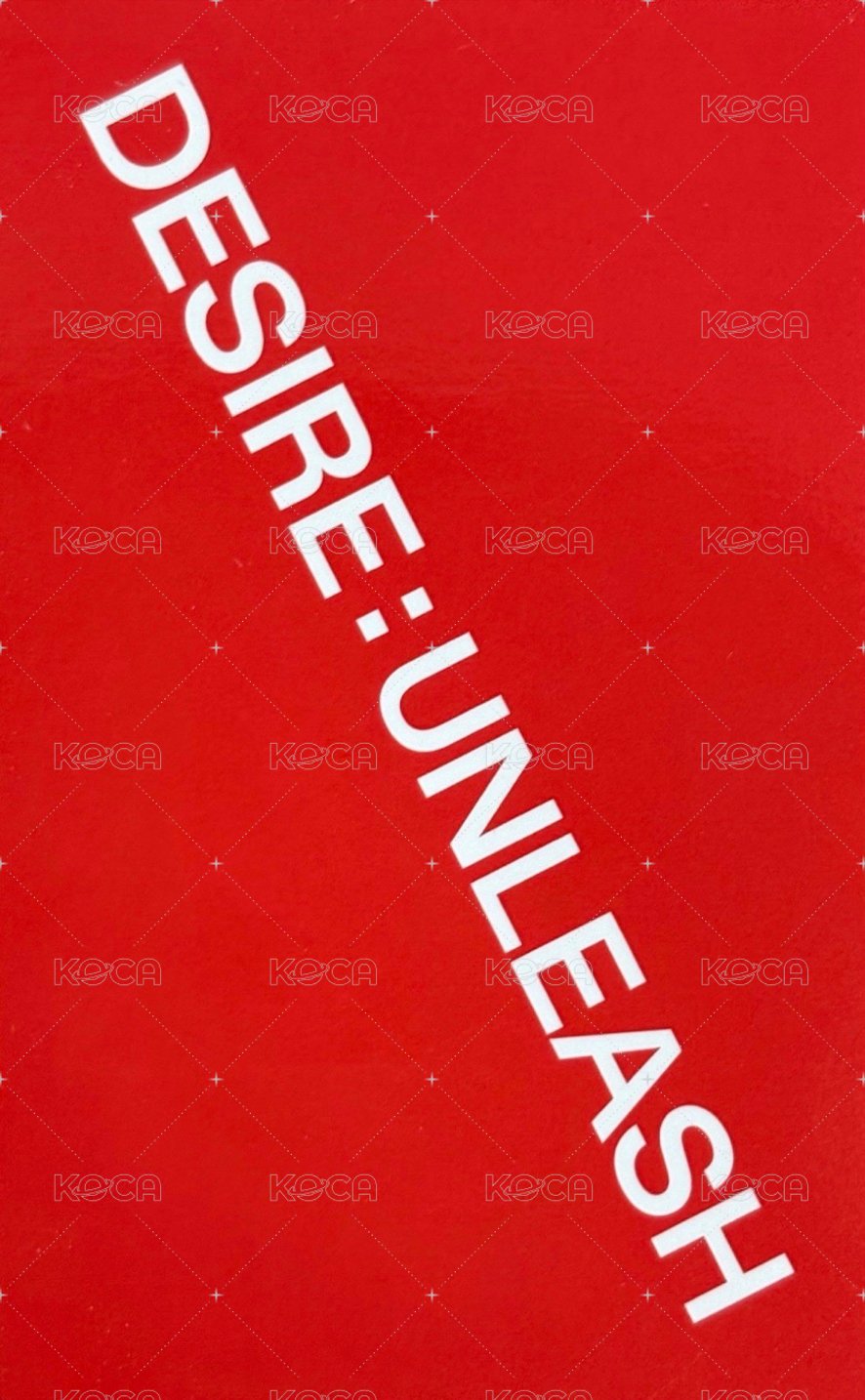 迷六 泡澡球 專輯卡  背面