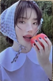 2026年曆 固配 年曆卡 