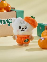 BT21 Baby SS娃 橘子派對系列