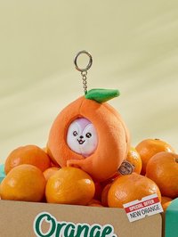 BT21 Baby 吊娃 橘子派對系列