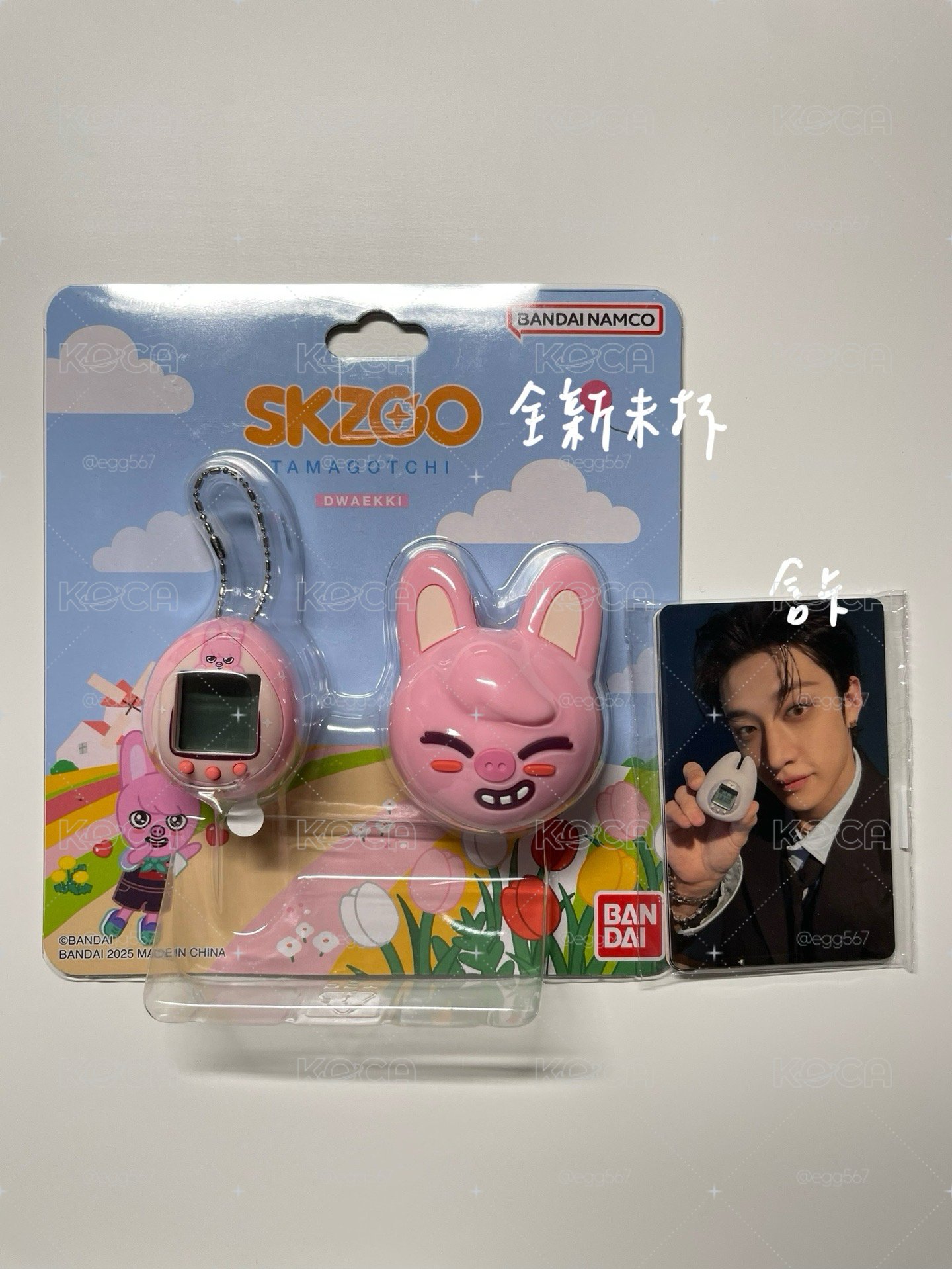 彬電子雞