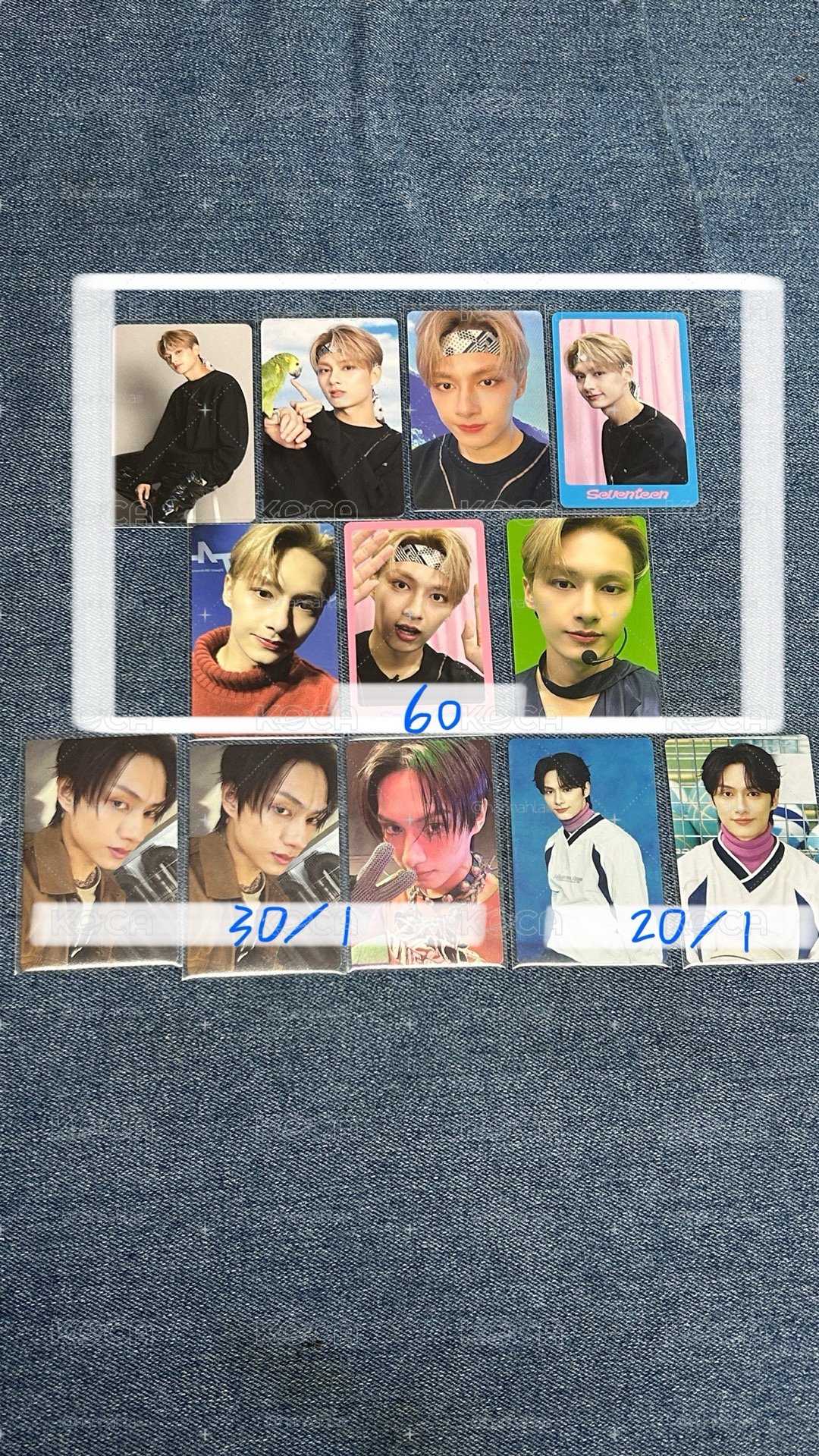 SVT 俊小卡