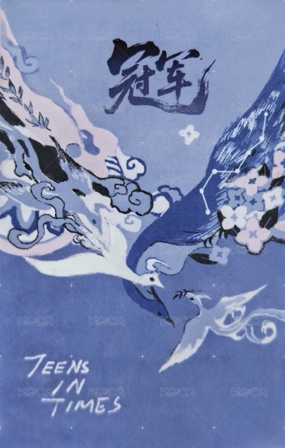 大連冠軍T恤 周邊卡 5T恤卡 背面