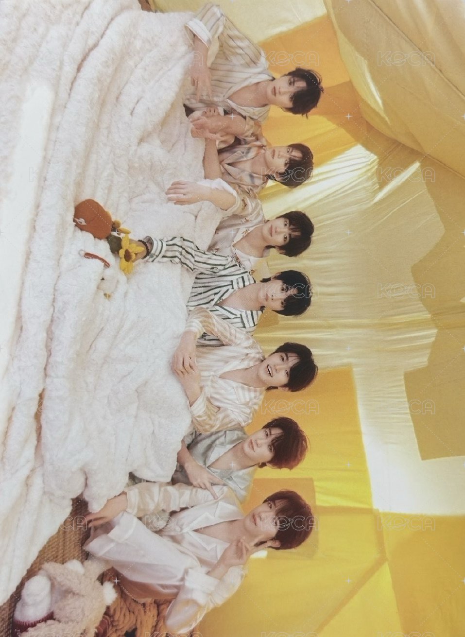 抱枕 明信片  背面