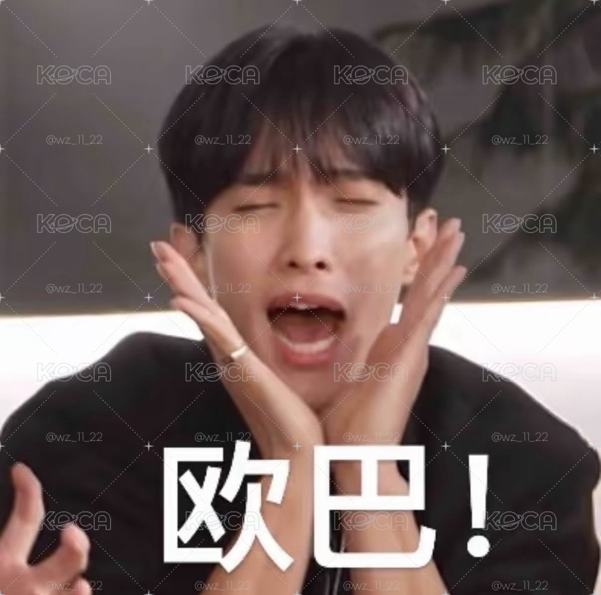 正五專卡