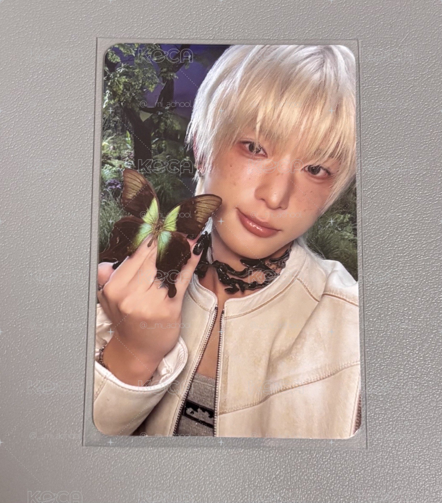 &TEAM Harua<單封專卡>