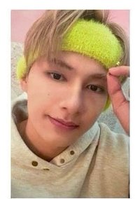 POL wvs wvsjp 特典卡 