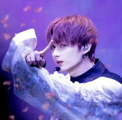 Seventeen 日卡 文俊輝