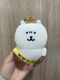 自信熊初販（拆擺  、有吊牌）