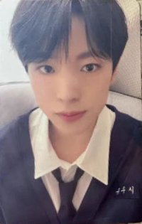 Songbird yzy 1.0 幸運卡 