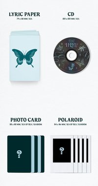 BUTTERFLY版 專輯配置