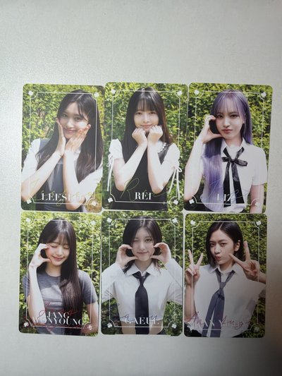 雜誌卡 員瑛貓耳