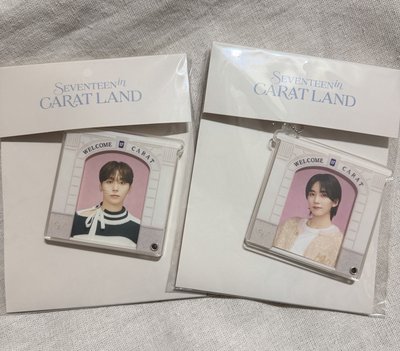 SEVENTEEN 淨漢 勝寛 24克拉島 鑰匙扣吊飾 小卡兩張