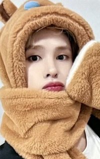 DtC : E ms 1.0 簽售卡 水豚