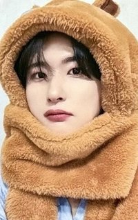 DtC : E ms 1.0 簽售卡 水豚