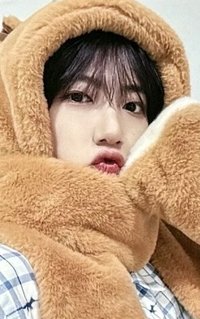 DtC : E ms 1.0 簽售卡 水豚