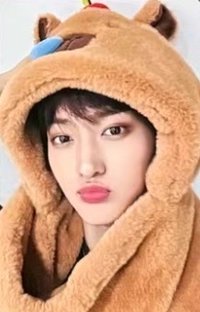 DtC : E ms 1.0 簽售卡 水豚