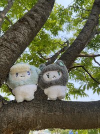 海豚和貓都會游泳