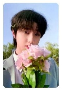 登陸日 家族款 周邊卡 