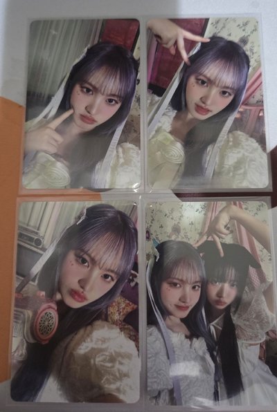 Dicon 栗 整圖不拆售