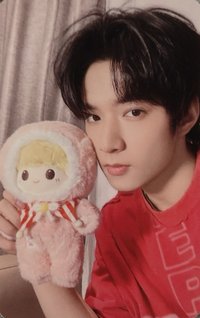 三專正式版 隨機卡 團團卡 4米寶娃小卡