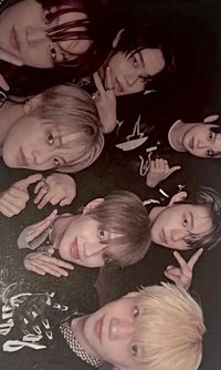 blackout 卡包專 專輯卡 團卡