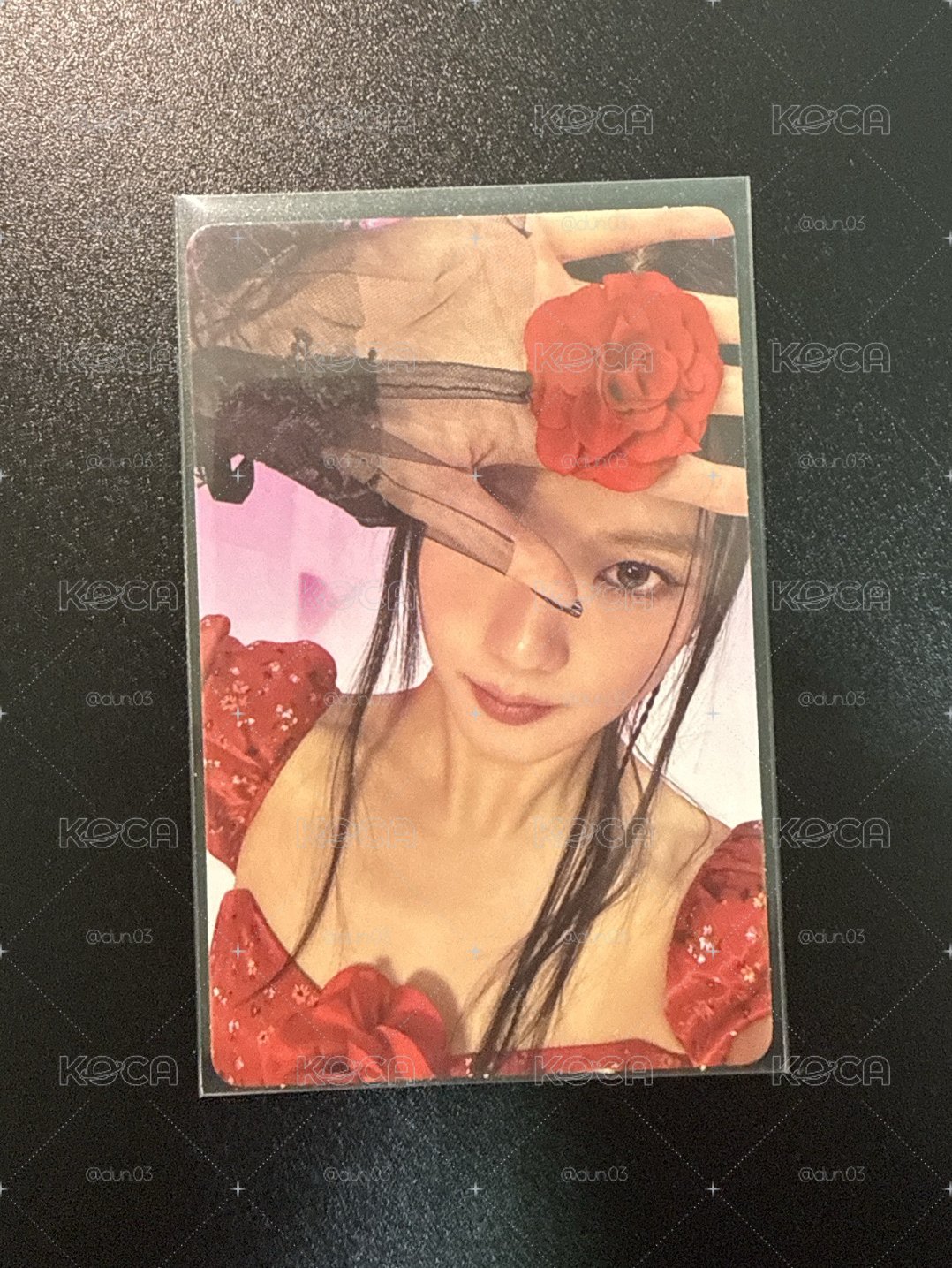 寫真 紅花秀
