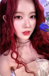 25’ 世巡 入場卡 / 場限卡 二巡VIP入場