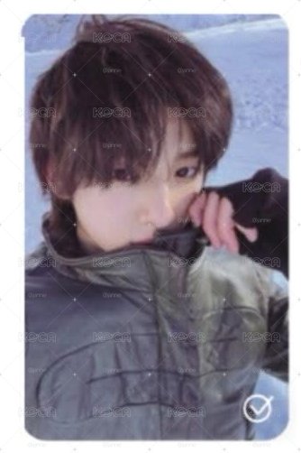 雪地訓