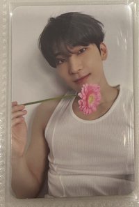 精選專 克拉盤 拿花圓