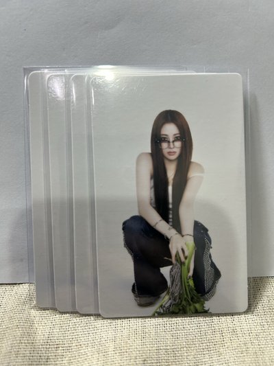 允真的專卡/卡包卡/拍立得