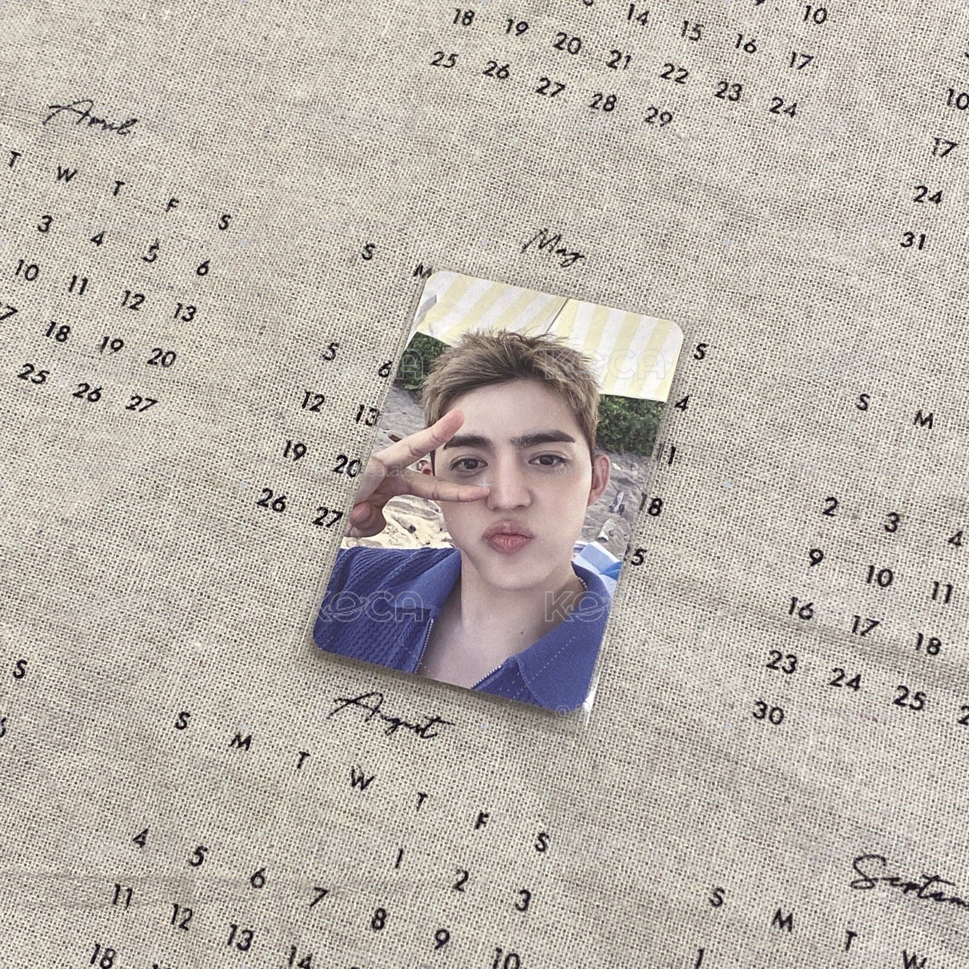 SEVENTEEN CxM ms哲
