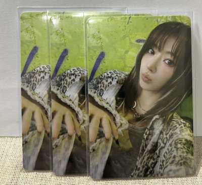 櫻花的卡包卡/拍立得/專卡