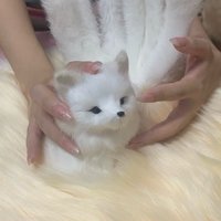 琳琳